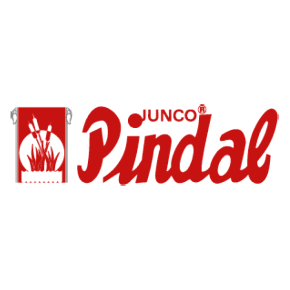 pindal_logo